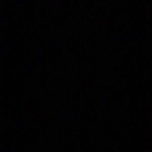 Meet your Posher, Nina